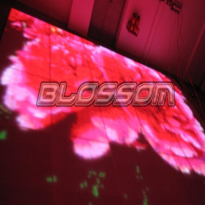 P25 LED Acrylic Video Dance Fl...